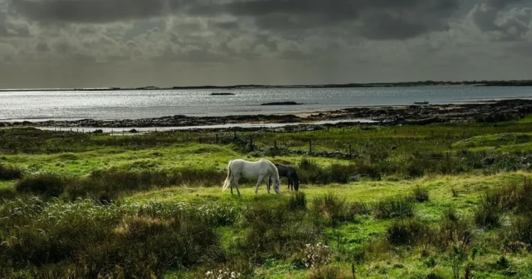 15 Unforgettable Things to Do in Ireland: Your Ultimate Travel Guide