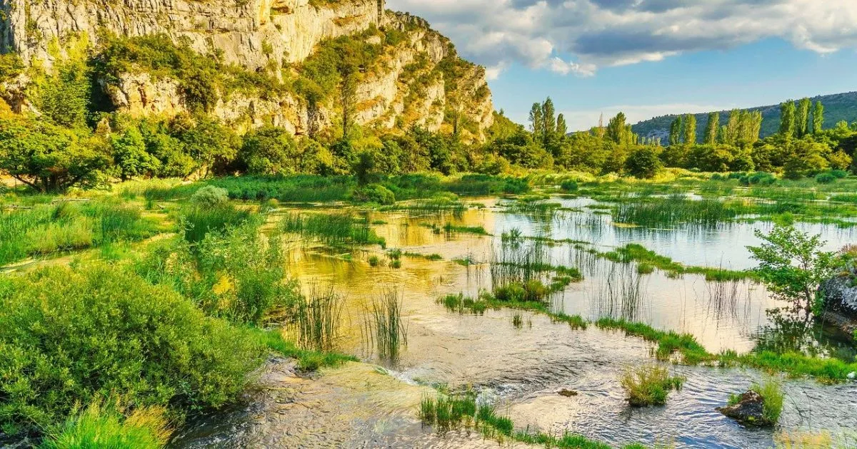 15 Amazing Facts About River Place Nature Trail: Austin's Hidden Wilderness