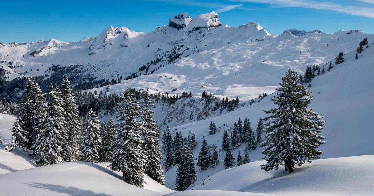 12 Magical Experiences During Switzerland Winter: A Wonderland Guide